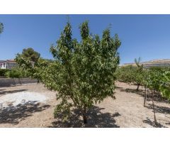 Terreno urbano en Venta en Arenas del Rey, Granada