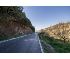 TERRENO EN EL CAMINO DEL FARGUE