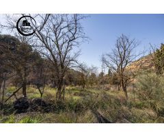 TERRENO EN EL CAMINO DEL FARGUE