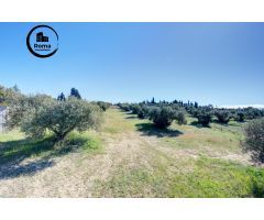 Terreno Las gabias de Secano 5.000 m2 con 50 olivos