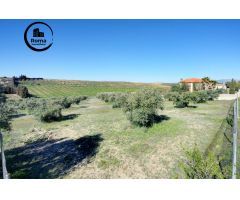Terreno Las gabias de Secano 5.000 m2 con 50 olivos