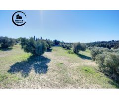 Terreno Las gabias de Secano 5.000 m2 con 50 olivos