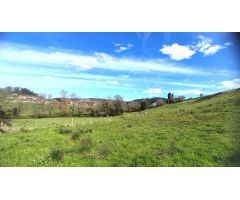 SE VENDE TERRENO EN CARREÑO.