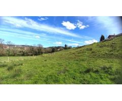 SE VENDE TERRENO EN CARREÑO.
