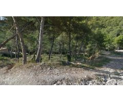 Solar en Venta en Canyelles, Barcelona