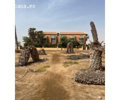 Se Vende Terreno urbanizable en Sal Cabo Verde