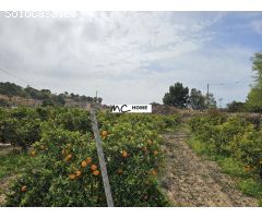 Terreno rústico de 15.473 m2 en Altea