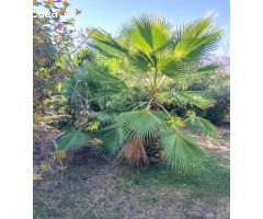 Exclusiva villa en venta en Albir: privacidad y comodidad en una sola planta