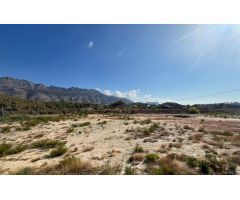 Impresionante finca de 60.000 m² con increíbles posibilidades para desarrollo en entorno tranquilo