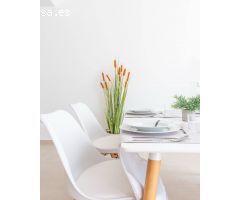 Bungalows modernos de dos plantas con comodidades de lujo y alta eficiencia energética