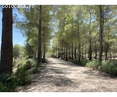 EXCLUSIVA VILLA ESENCIA DE 4 DORMITORIOS Y 3 BAÑOS ORIENTADA AL OESTE