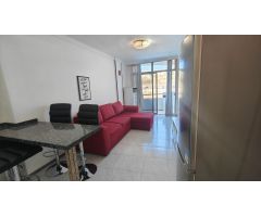 Apartamento en Alquiler en Puerto Rico, Las Palmas