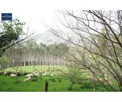Casa de campo en Venta en Arredondo, Cantabria