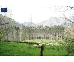 Casa de campo en Venta en Arredondo, Cantabria