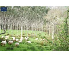 Casa de campo en Venta en Arredondo, Cantabria