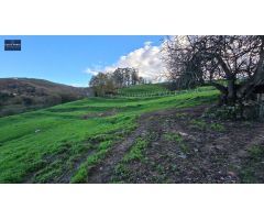 Casa de campo en Venta en Arenas de Iguña, Cantabria