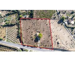 FINCA RÚSTICA EN SELVA EN PROCESO DE LEGALIZACION , 16.000 M2