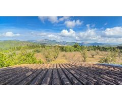 FINCA RÚSTICA EN SELVA EN PROCESO DE LEGALIZACION , 16.000 M2