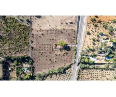 FINCA RÚSTICA EN SELVA EN PROCESO DE LEGALIZACION , 16.000 M2