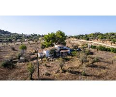 FINCA RÚSTICA EN SELVA EN PROCESO DE LEGALIZACION , 16.000 M2