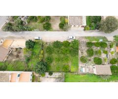 TERRENO URBANO MARIA DE LA SALUT