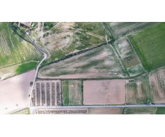 Terreno rústico en Algaida
