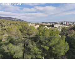 Chalet unifamiliar en Cas Catala