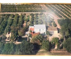 FINCA RUSTICA BITEM(TORTOSA)