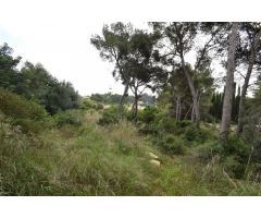 Parcelas en venta