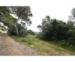 Parcelas en venta