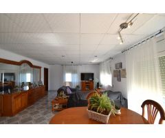 Finca de olivos con casa en venta, al lado del núcleo urbano