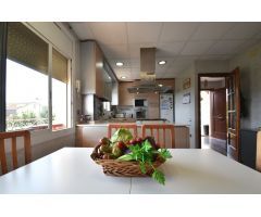 Finca de olivos con casa en venta, al lado del núcleo urbano