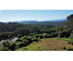 Casa y finca en Mañón