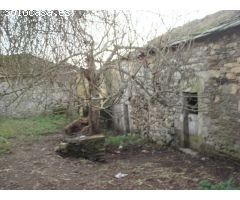 Finca rustica en Venta en Guntín, Lugo