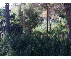Terreno urbano en Venta en Lloret de Mar, Girona