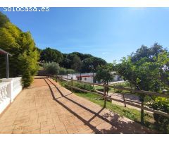 FINCA DESTINADA ACTIVIDAD COMERCIAL CON VIVIENDA INDEPENDIENTE