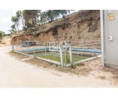 Venta de dos fincas rústicas en Mataró, cerca de la autopista