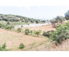 Venta de dos fincas rústicas en Mataró, cerca de la autopista