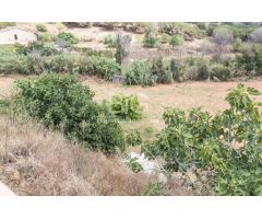 Venta de dos fincas rústicas en Mataró, cerca de la autopista