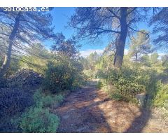 TERRENO RUSTICO CON AGUA Y LUZ A PIE DE PARCELA Y CON URBANIZACIÓN EN EL ESTEPAR DE ALCOY