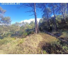 TERRENO RUSTICO CON AGUA Y LUZ A PIE DE PARCELA Y CON URBANIZACIÓN EN EL ESTEPAR DE ALCOY
