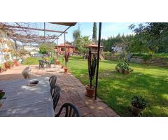 Amplitud y Vistas en El Romeral: Un Refugio Único entre la Naturaleza y el Encanto del Pueblo
