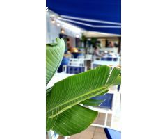 Traspaso Restaurante en Cales Fonts – Ubicación Privilegiada a Primera Línea de Mar