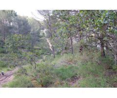 Solar en Venta en Villaviciosa de Córdoba, Córdoba
