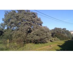 Casa en Venta en Villaviciosa de Córdoba, Córdoba
