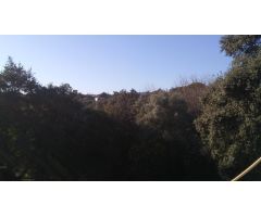 Casa en Venta en Villaviciosa de Córdoba, Córdoba
