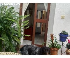Piso en Venta en Villaviciosa de Córdoba, Córdoba