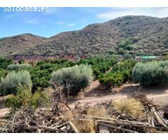 Terreno rural en Venta en Águilas, Murcia