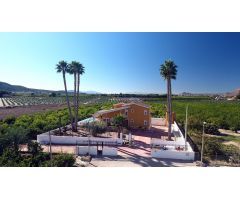 Finca rustica en Venta en Orihuela, Alicante