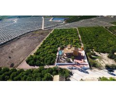 Finca rustica en Venta en Orihuela, Alicante